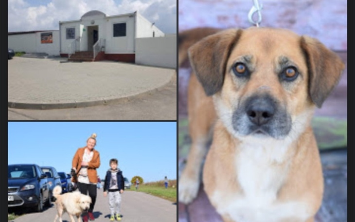 Zbiórka Schronisko w Zawierciu - zdjęcie główne