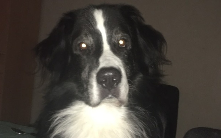 Zbiórka Mexiko - zdjęcie główne