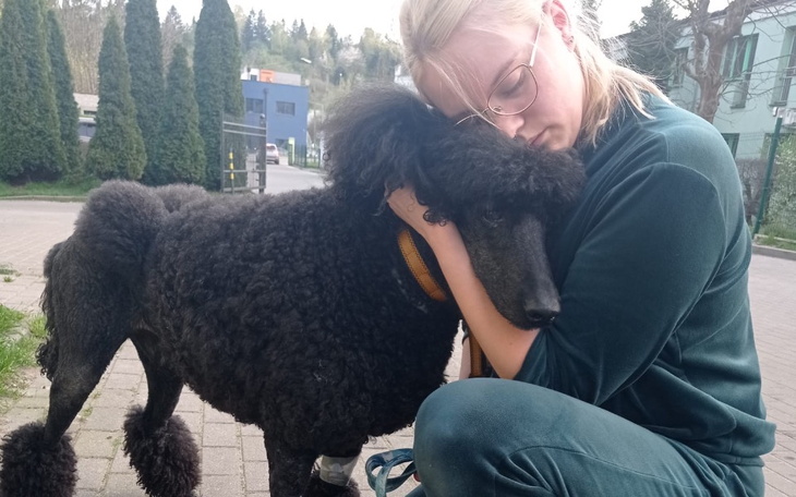 Zbiórka Leczenie Egona - zdjęcie główne