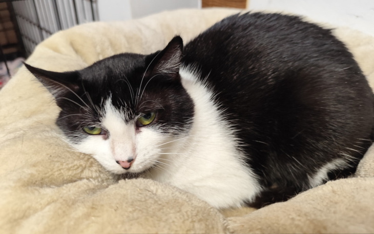 Zbiórka Furia - zdjęcie główne