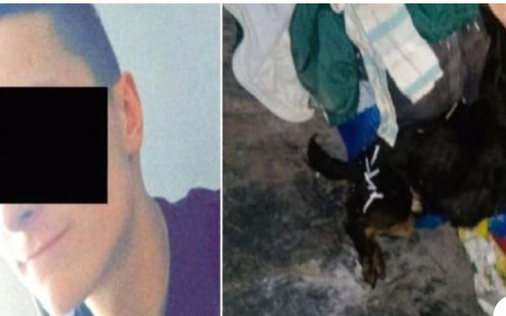 Zbiórka Zabił jej psa i zdemolował dom. - zdjęcie główne