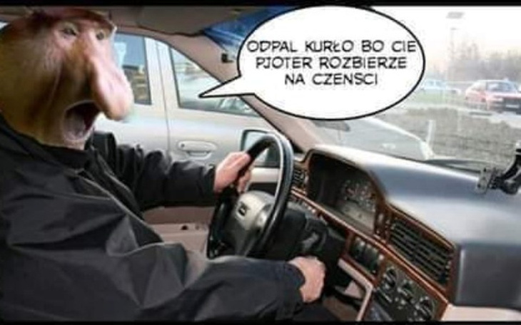 Zbiórka Na własne ukochane autko - zdjęcie główne