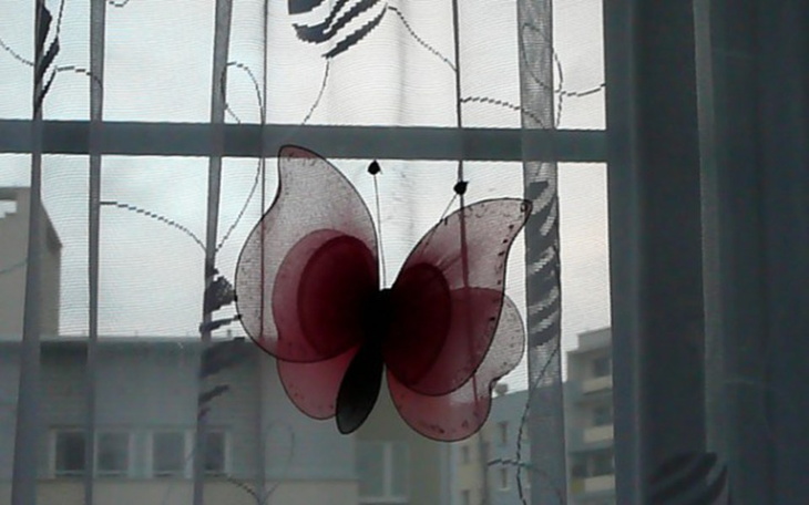 Zbiórka Wymarzone mieszkanie - własne M - zdjęcie główne