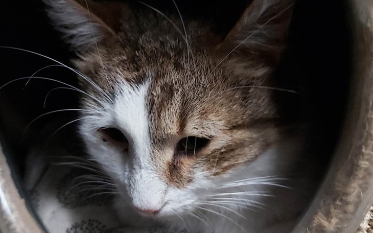 Zbiórka Horacy - spojrzeć śmierci w oczy - zdjęcie główne