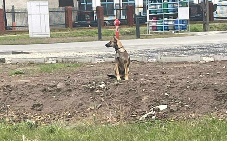 Zbiórka By odmienić jego los - zdjęcie główne