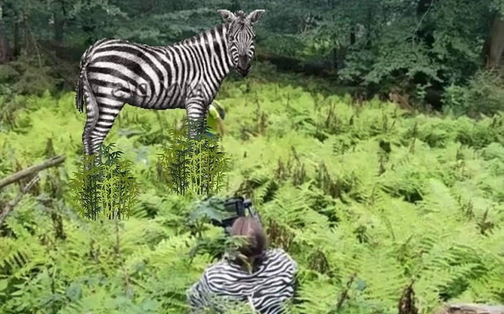 Zbiórka Kamizebra taktyczna dla Jezusa - zdjęcie główne