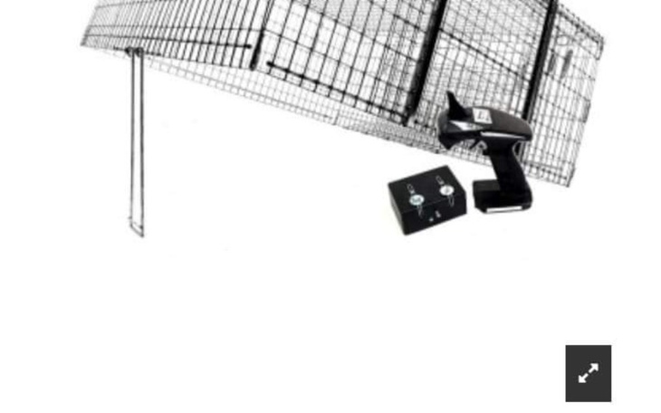 Zbiórka Żywołapka...by ocalić od cierpie - zdjęcie główne