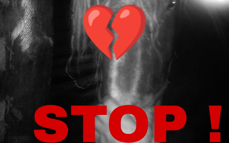 Zbiórka STOP rzeźni - zdjęcie główne