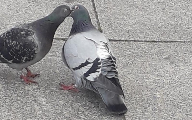 Zbiórka Zbieram na zycie do 10 - zdjęcie główne