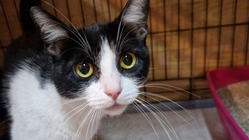 Zbiórka Na dobry początek - miniaturka zdjęcia