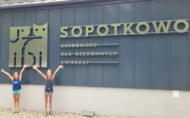 Zbiórka Schornisko w Trójmieście - zdjęcie główne