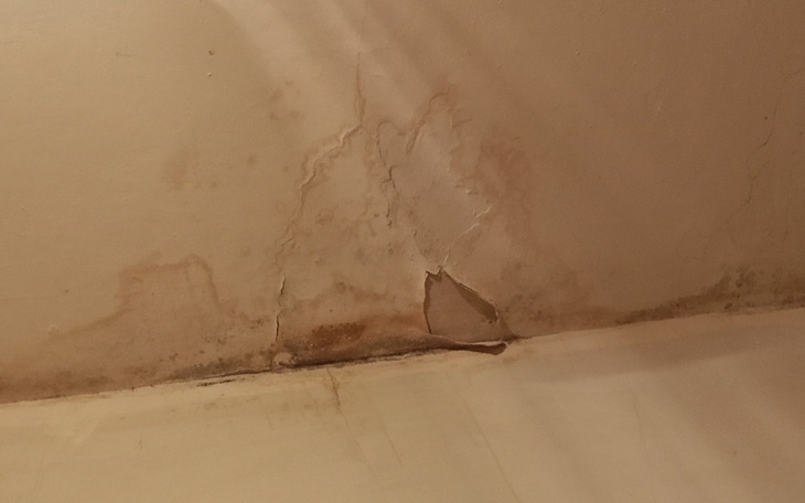 Zbiórka Remont dachu i sufitu ln - zdjęcie główne