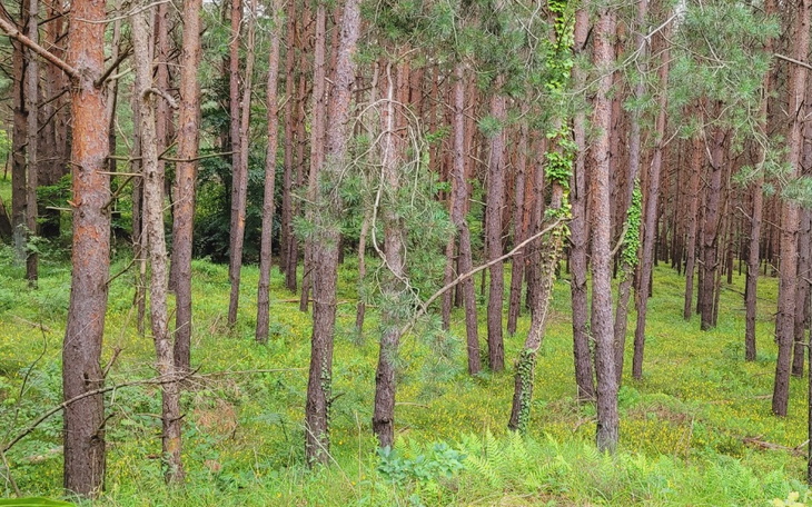 Zbiórka Na naukę dla syna - zdjęcie główne