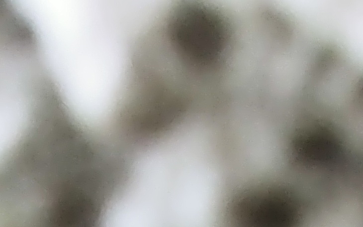 Zbiórka Spłata Podatków - zdjęcie główne