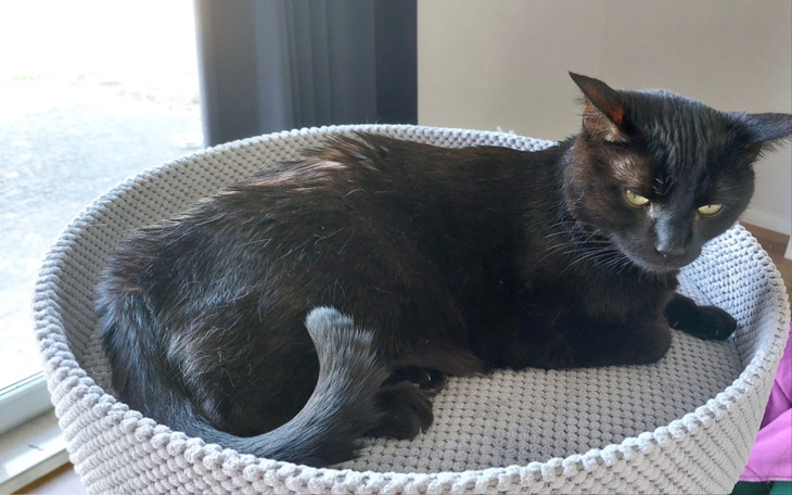 Zbiórka Drugie życie dla Wiktora - zdjęcie główne