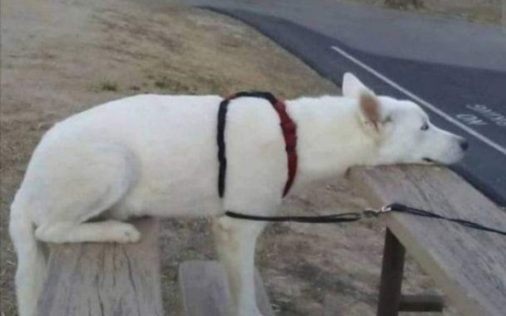 Zbiórka Zbieramy na marzenia Młodych - zdjęcie główne