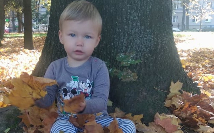 Zbiórka Operacja i rehabilitacja Natanka - zdjęcie główne