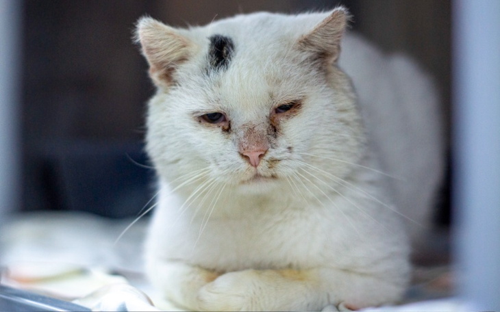 Zbiórka Koksik i nowy początek - zdjęcie główne