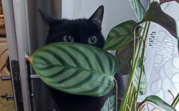 Zbiórka Na pełną diagnostykę i leczenie - zdjęcie główne