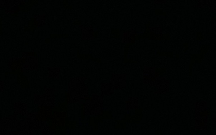 Zbiórka pomóżmy dla Affy! - zdjęcie główne