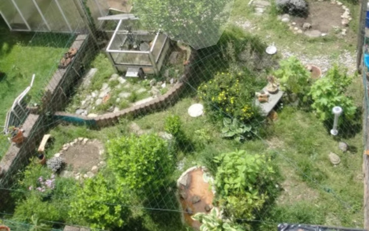 Widok na ogród z roślinami i elementami dekoracyjnymi.