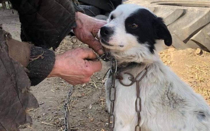 Zbiórka Wołamy o pomoc w imieniu naszych - zdjęcie główne