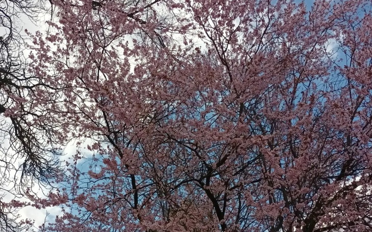 Zbiórka Na marzenie moje i synka - zdjęcie główne