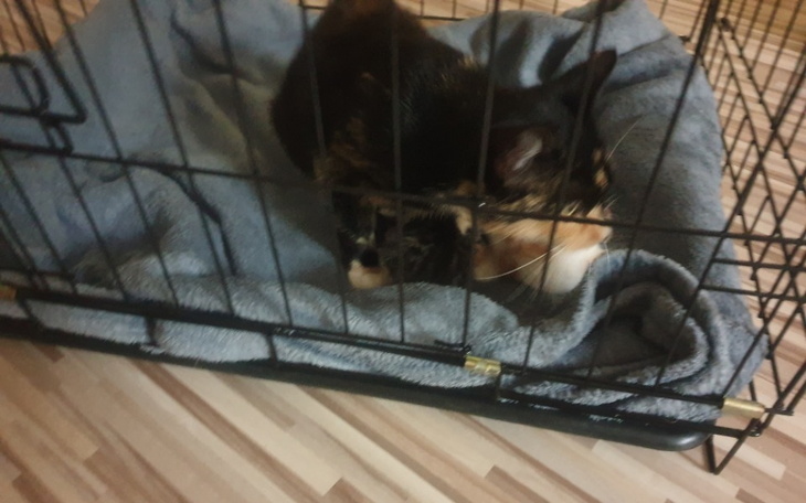 Zbiórka Nowa ekipa - zdjęcie główne