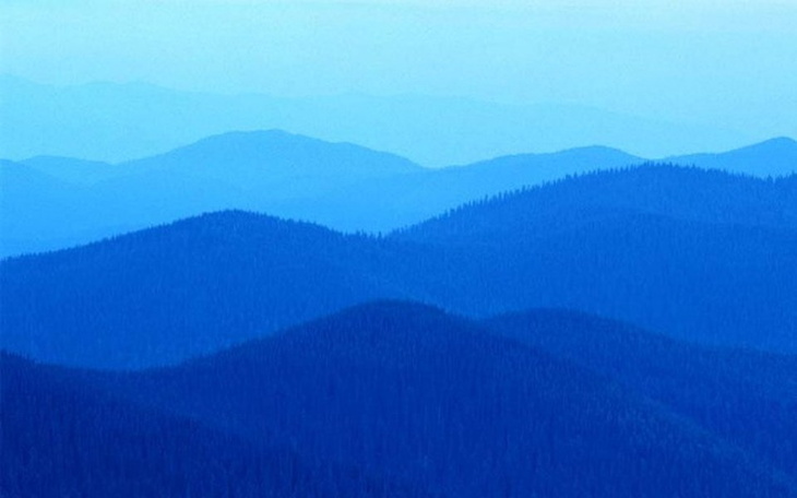 Zbiórka Na moje marzenia 1 - zdjęcie główne