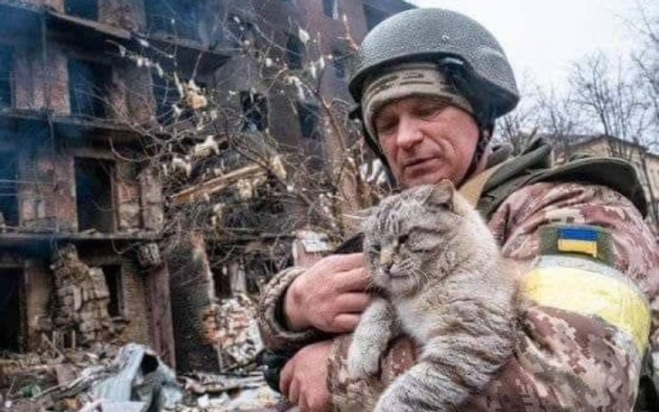 Zbiórka nakarm zwierzat na Ukrainie - zdjęcie główne