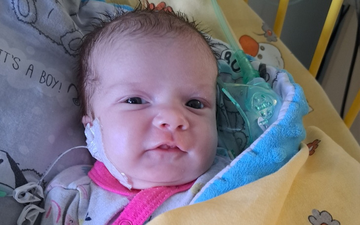 Zbiórka Rehabilitacja i leczenie Jagody - zdjęcie główne