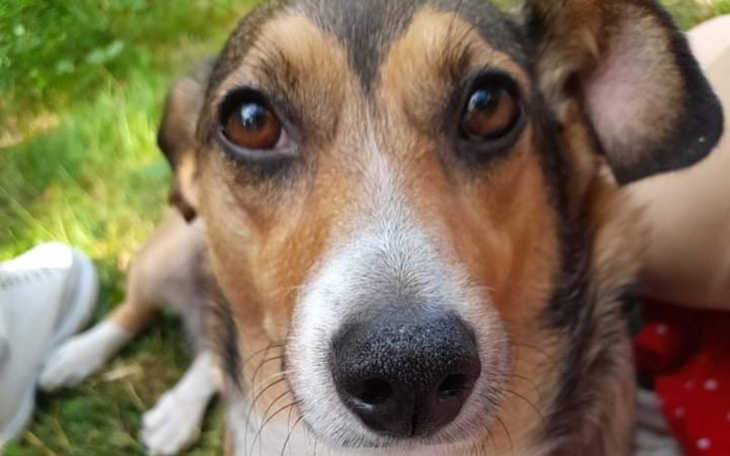 Zbiórka Ostatni ratunek. - zdjęcie główne