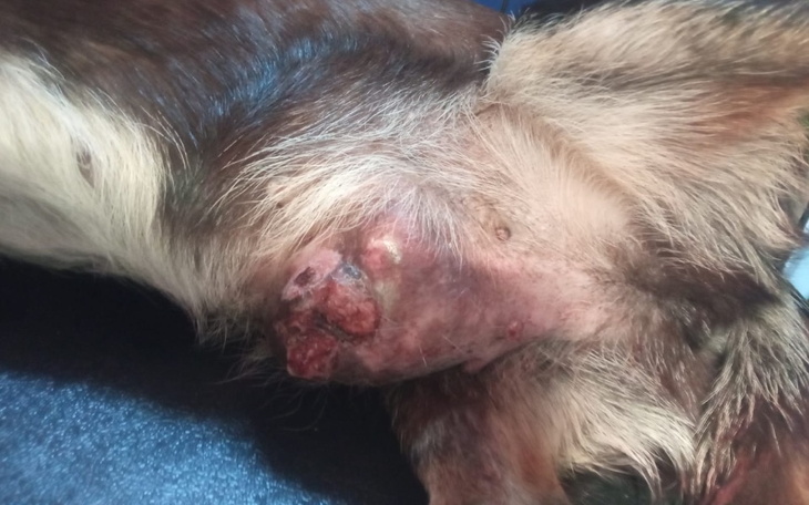 Zbiórka Kłębek strachu - zdjęcie główne