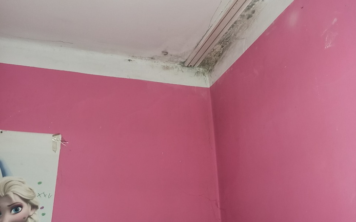 Zbiórka Remont mieszkania i spłata podat - zdjęcie główne