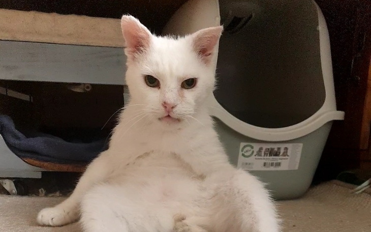 Zbiórka Na porządki w paszczy Stefana - zdjęcie główne