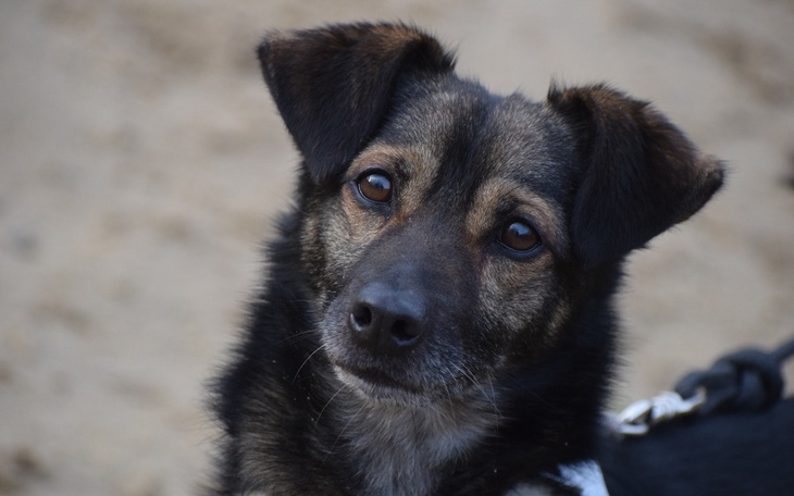 Zbiórka Desmont zbiera na hotel - zdjęcie główne