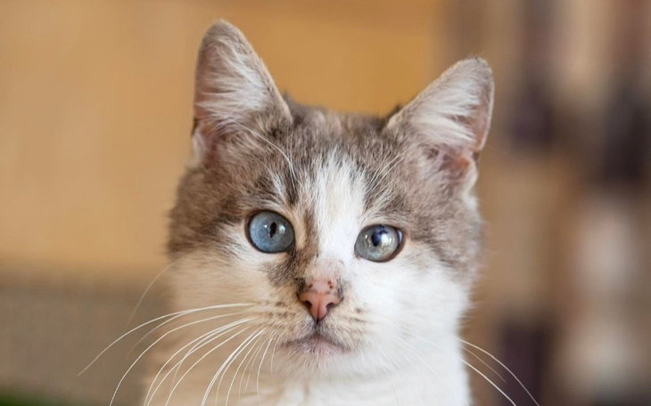 Zbiórka Na zdrowie, Burbon. - zdjęcie główne