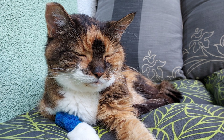 Zbiórka Margotleczenie - zdjęcie główne