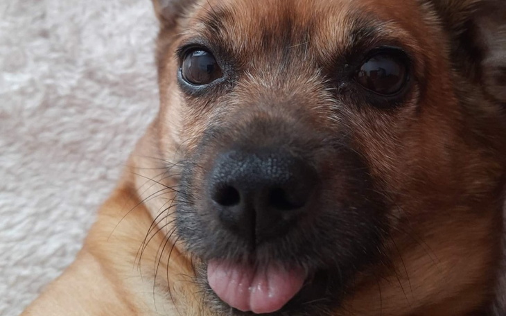 Zbiórka aby przeżyć te trudne czasy - zdjęcie główne