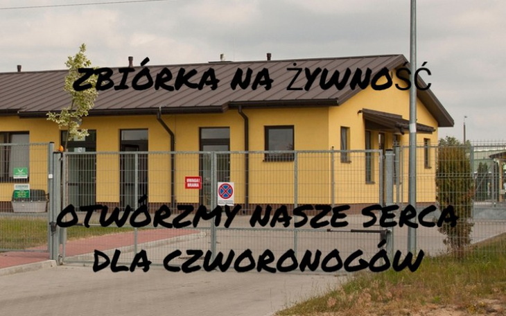 Zbiórka ZAKUP Żywności dla Schroniska - zdjęcie główne