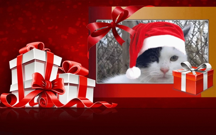 Zbiórka Mikołajkowa PAKA dla REKSIAKA - zdjęcie główne