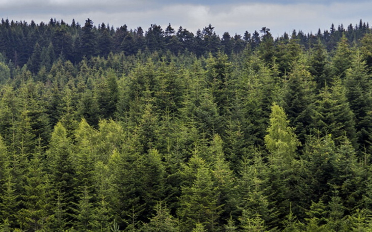 Zbiórka zbiórka na mówienie - zdjęcie główne