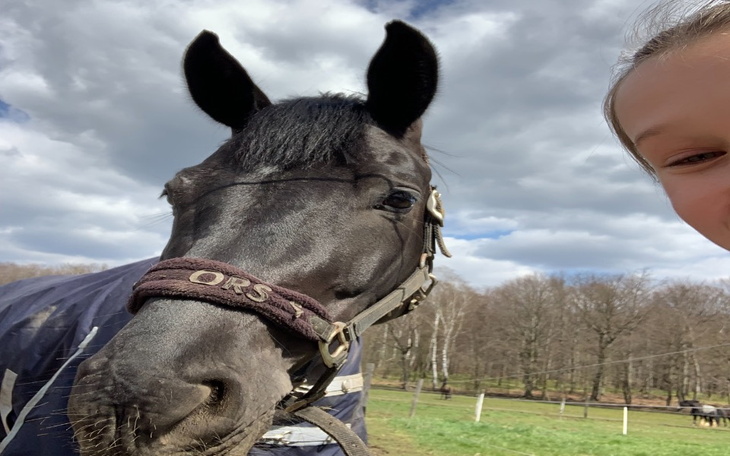 Zbiórka Zbiórka na Jokera kon - zdjęcie główne