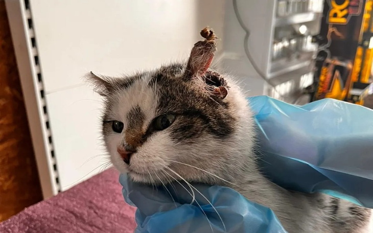 Zbiórka Basia - rak prawie ją zabił - zdjęcie główne