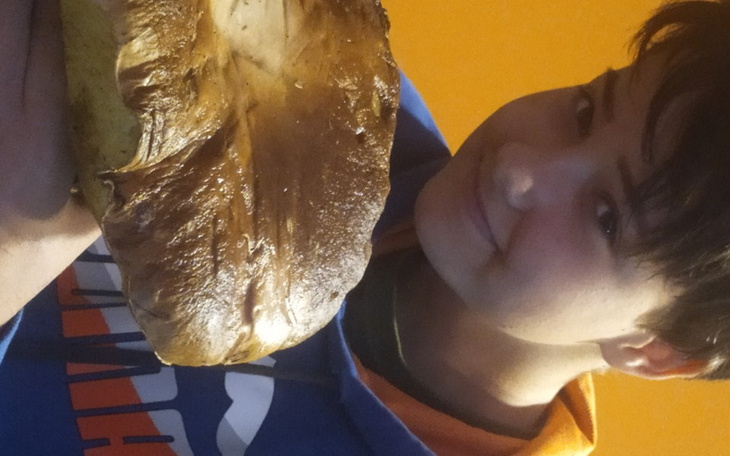 Zbiórka Pieniądze na tesogel - zdjęcie główne