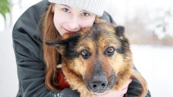 Zbiórka Pomóż psim seniorom - miniaturka zdjęcia