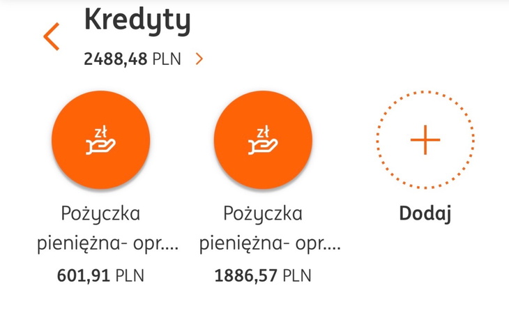 Zrzut ekranu z aplikacji pokazujący kredyty.