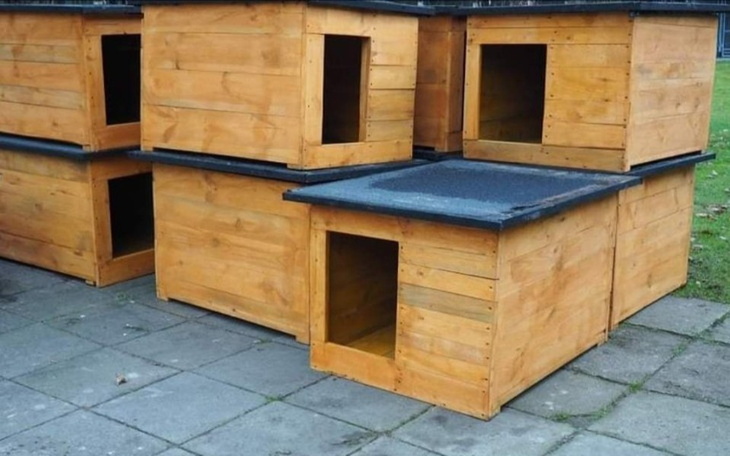 Zbiórka Nowe budy dla schroniska - zdjęcie główne