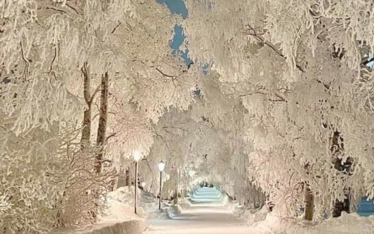 Zbiórka Na zakupyi prezenty swiąteczne - zdjęcie główne