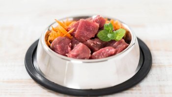 Zbiórka Podaruj posiłek naszym psom - miniaturka zdjęcia